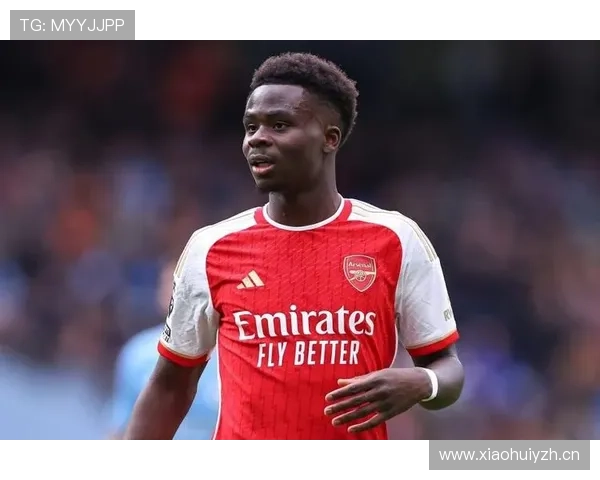 萨卡与世界级标准：数据分析下的差距与接近程度评估