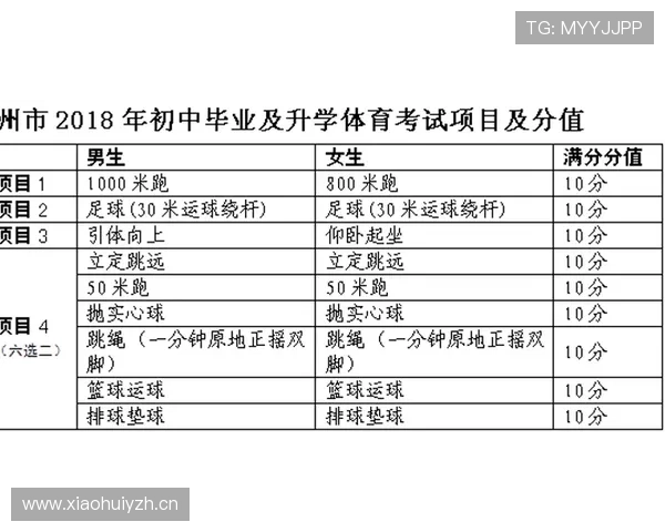 补篮规则详解：得分有效性与时间判定标准